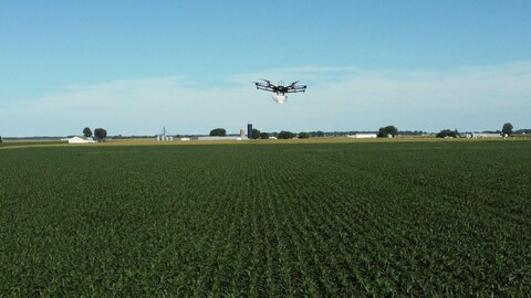 Un drone survole un champ.