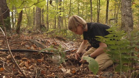 Jeune garçon fouille dans le sol à la recherche de truffes.