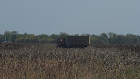 Camion dans un champs en Ukraine