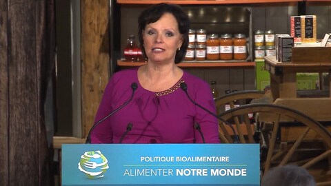 La ministre déléguée à la Réadaptation, à la Protection de la jeunesse, à la Santé publique et aux Saines habitudes de vie, Lucie Charlebois. La ministre déléguée à la Réadaptation, à la Protection de la jeunesse, à la Santé publique et aux Saines habitudes de vie, Lucie Charlebois.