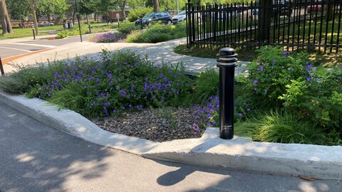 Un trottoir où des fleurs sont plantés