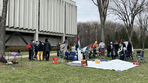 Des gens se rassemblent sur le gazon du campus de l'Université Laval. 