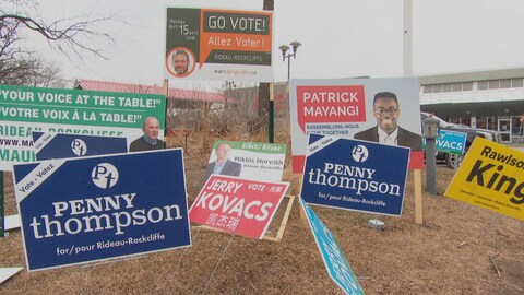 Des pancartes électorales de nombreux candidats sont plantées sur un terrain.