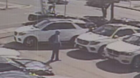 This is a still image of surveillance camera video of a high end car theft in action. The Ontario government will introduce legislation that would suspend the driving licences of convicted auto thieves. 