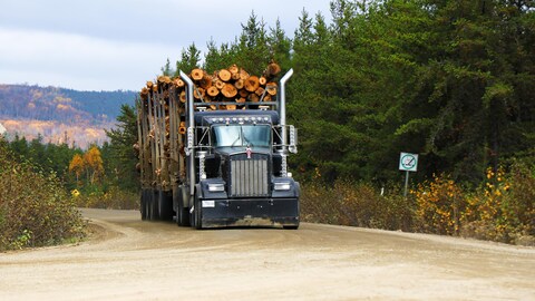 Coupes forestières dans le territoire atikamekw de Wemotaci.