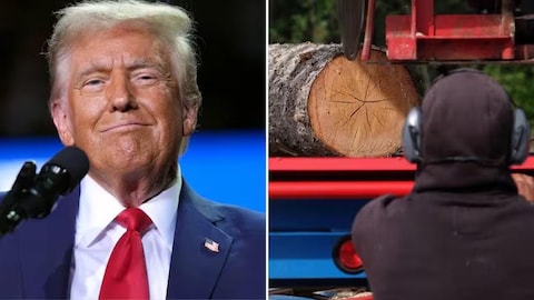 Donald Trump y una persona junto a un tronco.