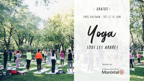 Affiche de Yoga sous les arbres Affiche de Yoga sous les arbres