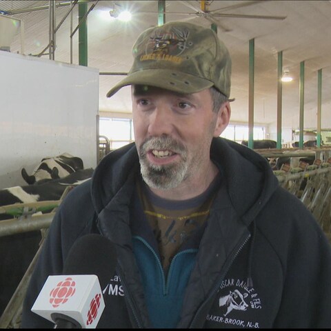 Marcel Daigle, propriétaire de la ferme Oscar Daigle et fils, à Baker-Brook au Nouveau-Brunswick, près de ses vaches.