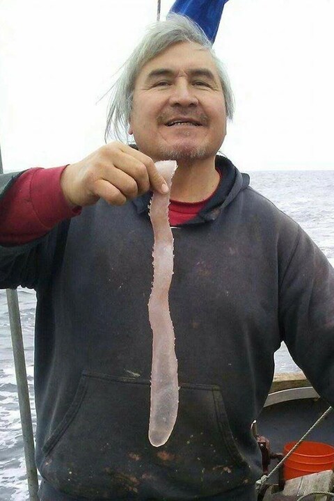 Le pêcheur Dobie Lyons a trouvé des pyrosomes en grand nombre dans les derniers mois. Le pêcheur Dobie Lyons a trouvé des pyrosomes en grand nombre dans les derniers mois.