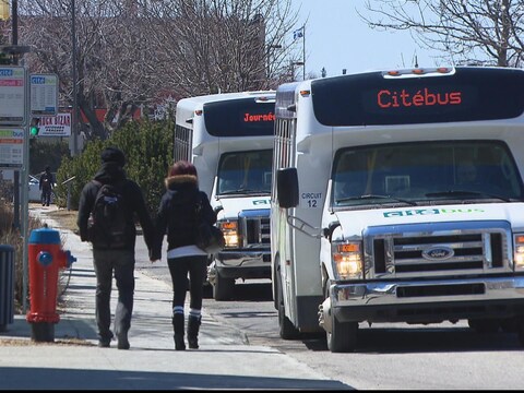Autobus de Citébus stationnés à un arrêt de bus à Rimouski. Autobus de Citébus stationnés à un arrêt de bus à Rimouski.