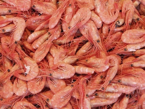 Crevettes Crevettes