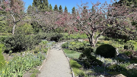 Une allée des Jardins de Métis bordée d'arbres en fleurs et de fleurs.
