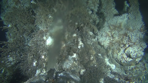 Le volcan sous-marin Axial Seamount, situé à environ 500 km au large de l’Oregon, dans l’océan Pacifique, montre des signes clairs d’une éruption imminente.
