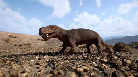 Pernel Media Un animal dans le désert qui ressemble à un croisement entre un reptile et un pachiderme.