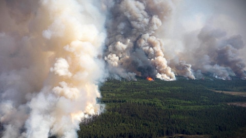 Radio-Canada De la fumée s'échappe de la forêt lors d'un feu majeur.