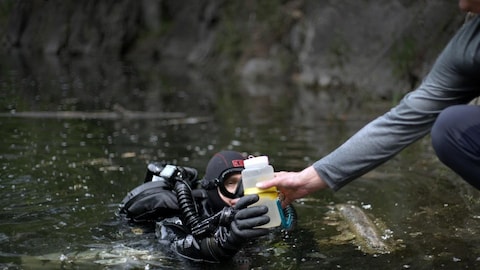 Un plongeur qui fait des tests de contamination dans l'eau.