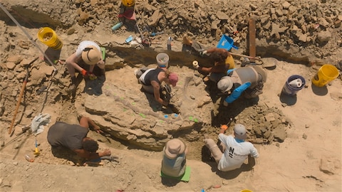 Des chercheurs qui font des fouilles dans un site secret appelé Jurassic Mile.