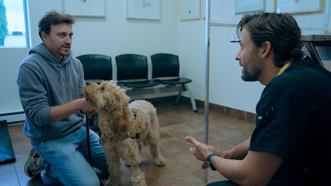 Le comédien Benoît McGinnis vient voir Sébastien avec Jules, un goldendoodle qui vient d’arriver dans sa vie.
