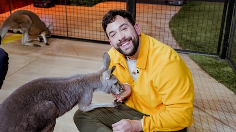 Il donne à manger à un kangourou. 