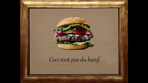 Image d'un hamburger au boeuf haché sous laquelle il est écrit : Ceci n'est pas du boeuf.