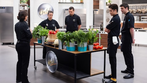 Les 4 finalistes des Chefs! autour de la table des produits, avec Colombe St-Pierre.