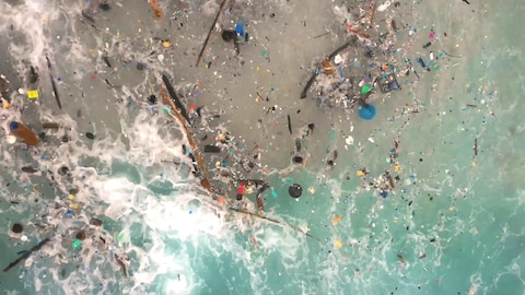 Des déchets plastiques dans l'eau.