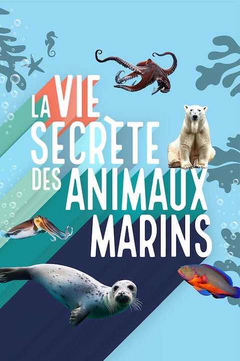 La vie secrète des animaux marins