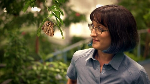 La femme observe un papillon accroché à une branche. 