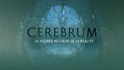 Cerebrum : 24 heures au coeur de la réalité