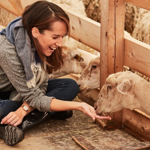 La nutritionniste Geneviève O'Gleman donne à manger à un agneau.