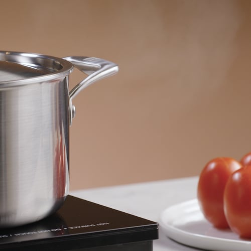 Un chaudron est déposé sur une plaque de cuisson. À sa droite, des tomates sont déposées dans une assiette.
