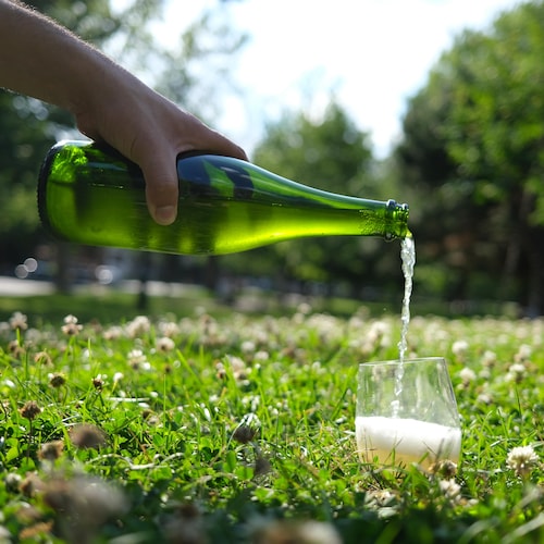 Une bouteille de cidre versé dans un verre dans un parc.