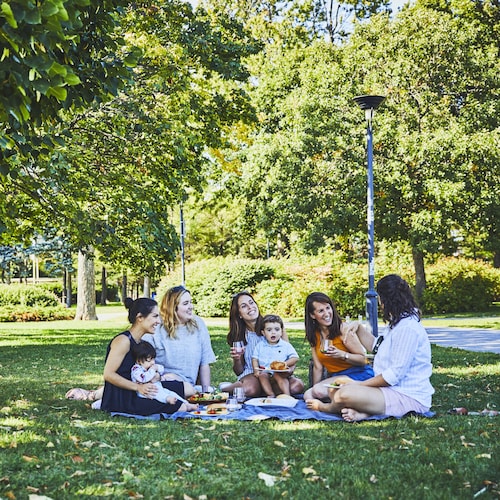 Un groupe d’amis font un pique-nique dans un parc. 