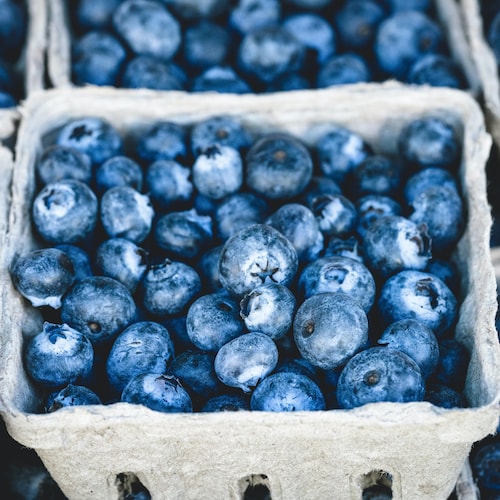 La photo représente un plan de près d'un casseau de bleuets. Il est possible d'en voir d'autres à l'entour. 