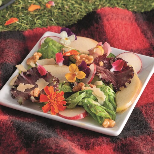 Une assiette avec une salade colorée et des fleurs comestibles.