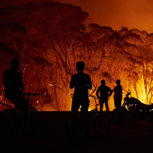 Des résidents observent des flammes géantes ravager les arbres.