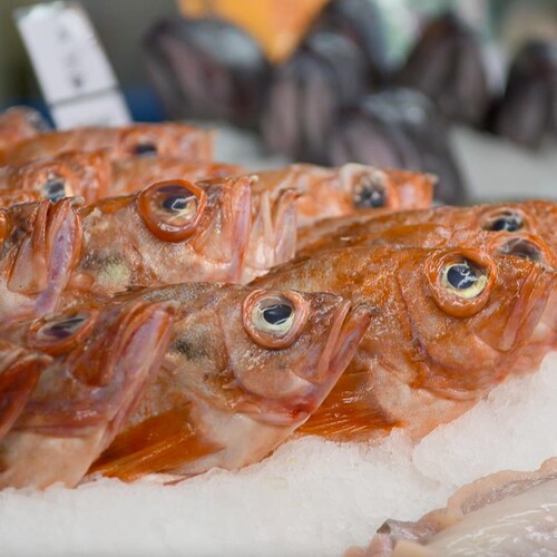 Des sébastes (poissons rouges) sur de la glace dans un comptoir de poissonnerie.