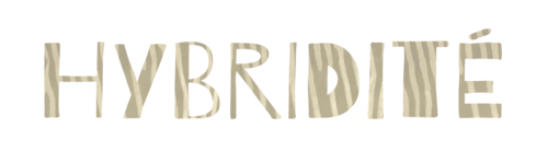 La nouvelle hybridité culturelle