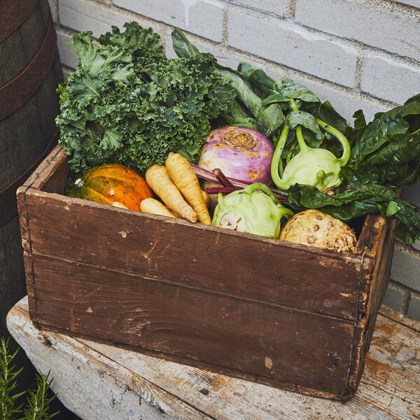 Une boîte en bois remplie de légumes, tels que des panais, du chou kale, du chou-rave et des bettes à carde.