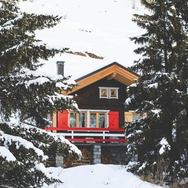 Un chalet entouré de conifères durant l'hiver.