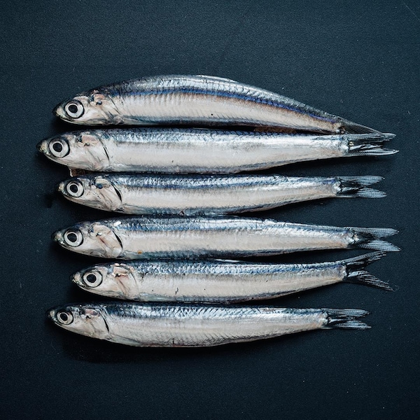 Quelques anchois entiers.