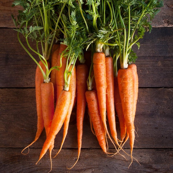 Plusieurs carottes sur une table en bois.