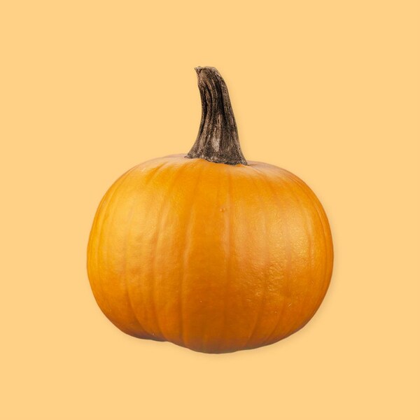 Une petite citrouille entière.