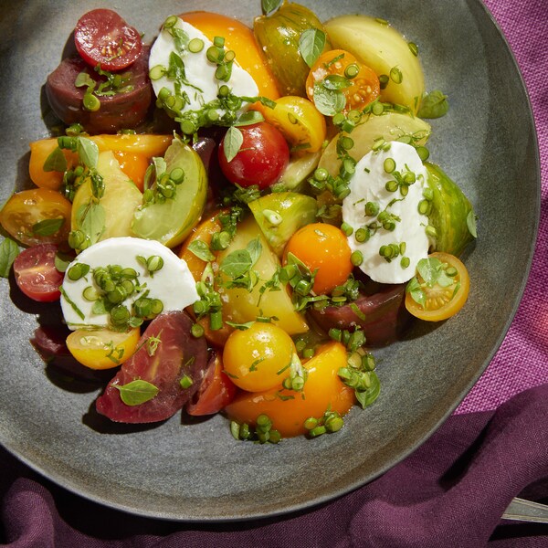Une salade aux tomates et à la mozzarella fraîche dans une assiette.
