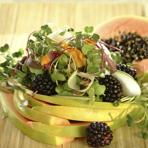 Une salade composée de mûres et de papayes.