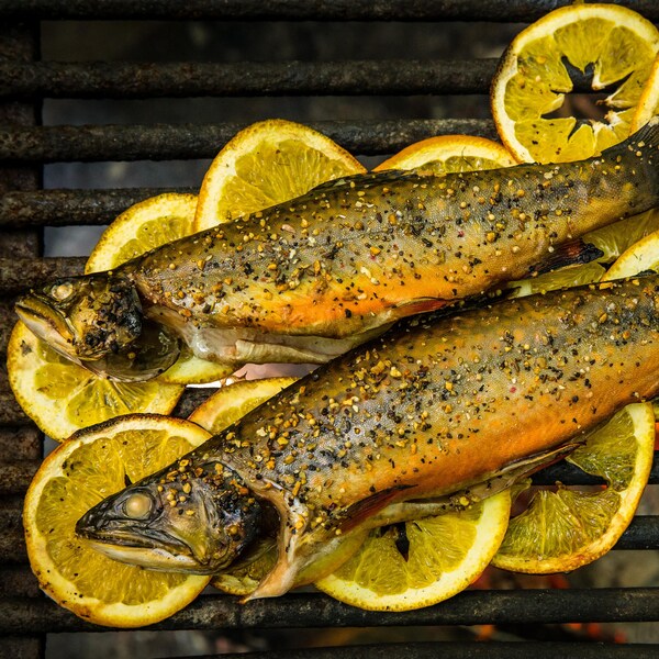 Truites à l’érable et à l’orange sur le grill.