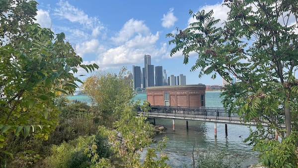 Vue sur la rivière et sur les édifices de Détroit à travers le feuillage du bord de l'eau. 