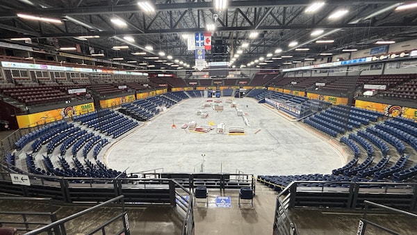 Une patinoire sans glace et sans bande ni baie vitrée.
