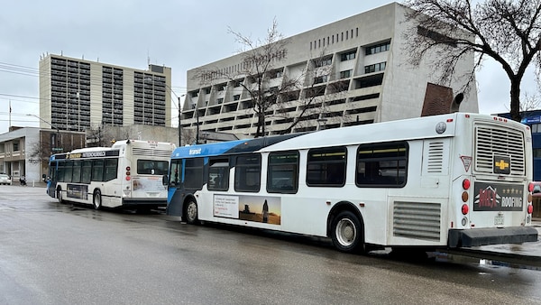 Des autobus de la Ville de Saskatoon, en Saskatchewan, le 3 mai 2024.