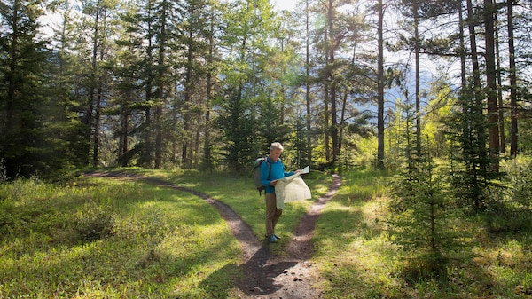 Un randonneur consulte une carte devant une fourche qui divise un sentier forestier en deux.